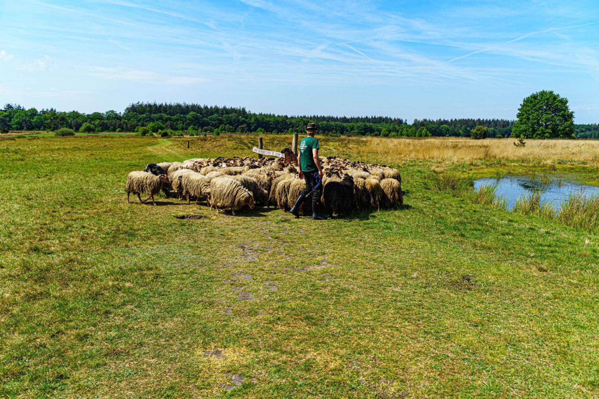 Nieuw-Weerdinge Mini Camping Drentse Monden מראה חיצוני תמונה