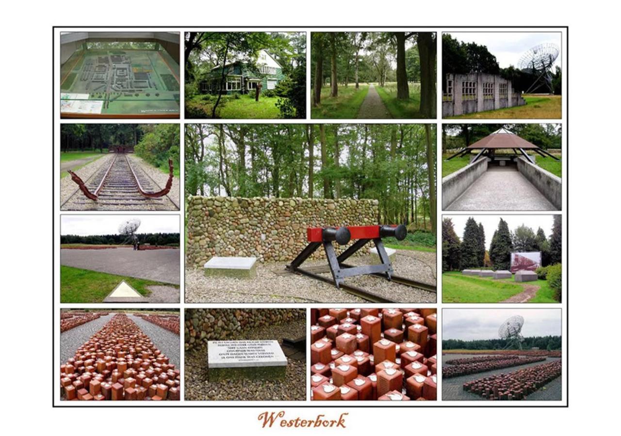 Nieuw-Weerdinge Mini Camping Drentse Monden מראה חיצוני תמונה