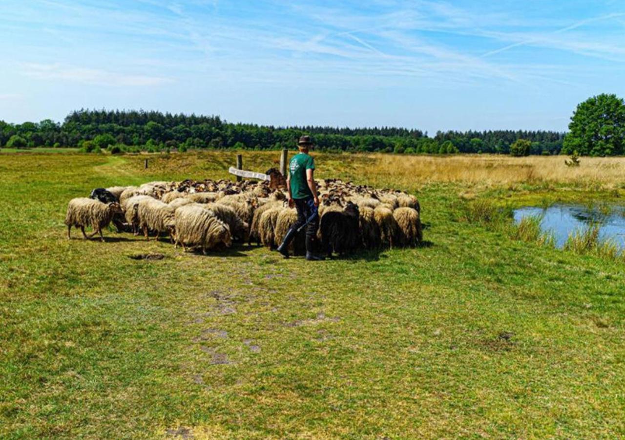 Nieuw-Weerdinge Mini Camping Drentse Monden מראה חיצוני תמונה